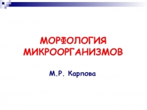 МОРФОЛОГИЯ МИКРООРГАНИЗМОВ