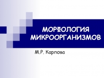 Морфология МО 