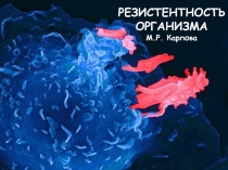 Резистентность организма 