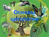 Химический состав клетки 