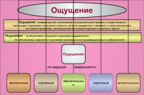 познавательные процессы 1.ppt