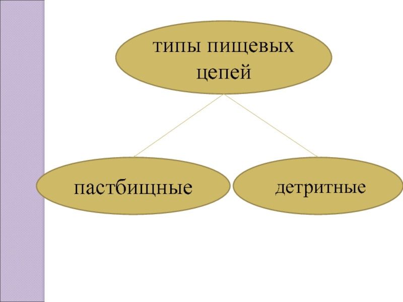 Виды питательных