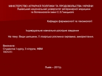 Виды шиповника 
