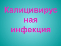 Калицивирусная инфекция кошек