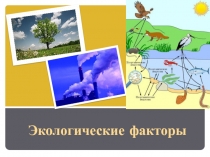 ЭКОЛОГИЧЕСКИЕ ФАКТОРЫ