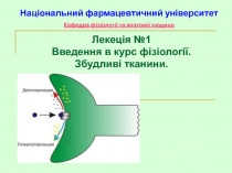 Збудливі тканини(ССО)