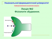 Фізіологія збудження(ССО)