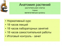 Анатомия растений