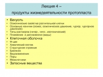 Вакуоль клетка 
