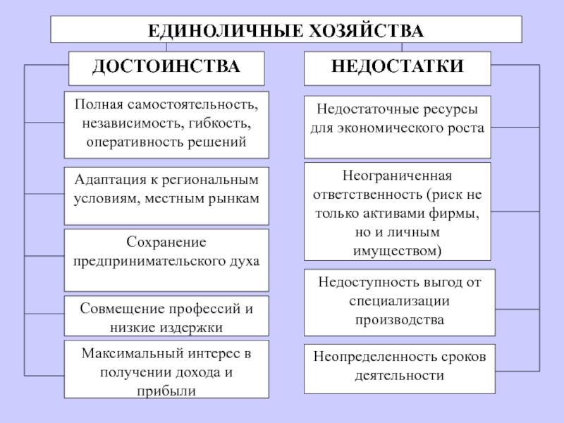 2 формы хозяйства. Достоинства и недостатки единоличного хозяйства. Единоличное хозяйство преимущества и недостатки. Натуральное и товарное хозяйство недостатки и преимущества. Достоинства и недостатки натурального хозяйства.