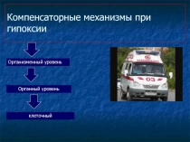 Компенсаторные механизмы при гипоксии