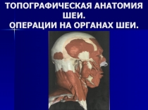 ТОПОГРАФИЧЕСКАЯ АНАТОМИЯ ШЕИ. ОПЕРАЦИИ НА ОРГАНАХ ШЕИ