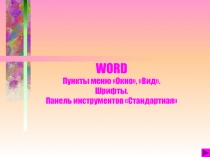 WORD - шрифты, стандартная панель инструментов, меню 'Окно', 'Вид 