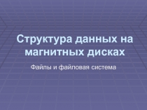Структура данных на магнитных дисках 
