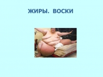 ЖИРЫ МАСЛА 