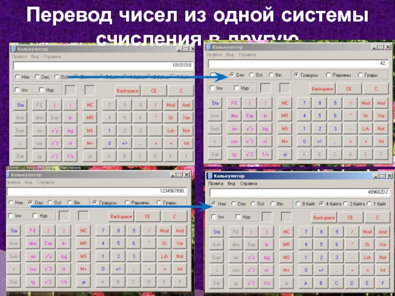 Перевод чисел из одной системы счисления в другую
