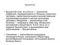 Бруцеллез