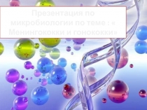 менингококки и гонококки 