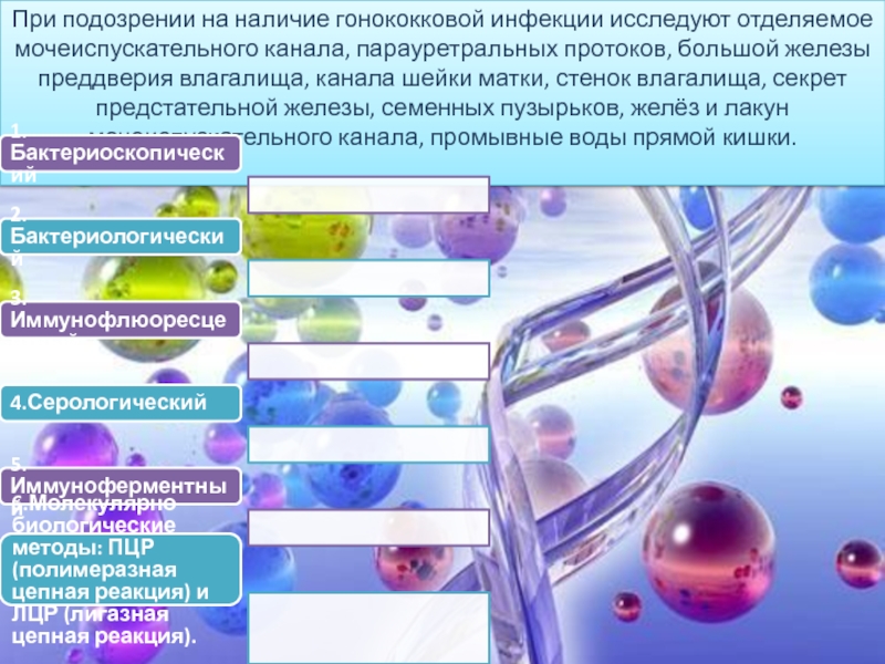 Парауретральные железы у женщин расположение и функция фото и описание стимуляция