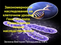 Генетика пола. Сцепление генов и кроссинговер. Хромосомная теория наследственности