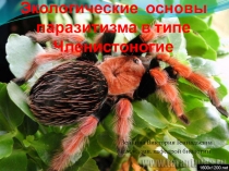 Экологические основы паразитизма в типе Членистоногие