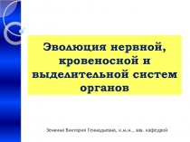 Филогенез нервной, кровеносной и выделительной систем. Пороки развития