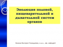 Филогенез половой систем, пищеварительной и дыхательной систем. Пороки развития.