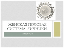 Женская половая система. Яичники