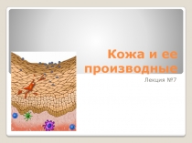 Кожа и ее производные