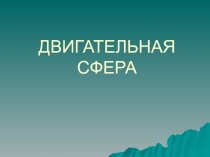 Двигательная сфера