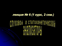 Орган слуха и равновесия