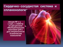 ССС и Спланхнология