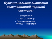 Функциональная анатомия ВНС