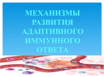 МЕХАНИЗМЫ АДАПТИВНОГО ИММУННОГО ОТВЕТА