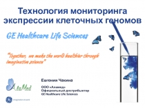 Развитие исследований: от гена до функции