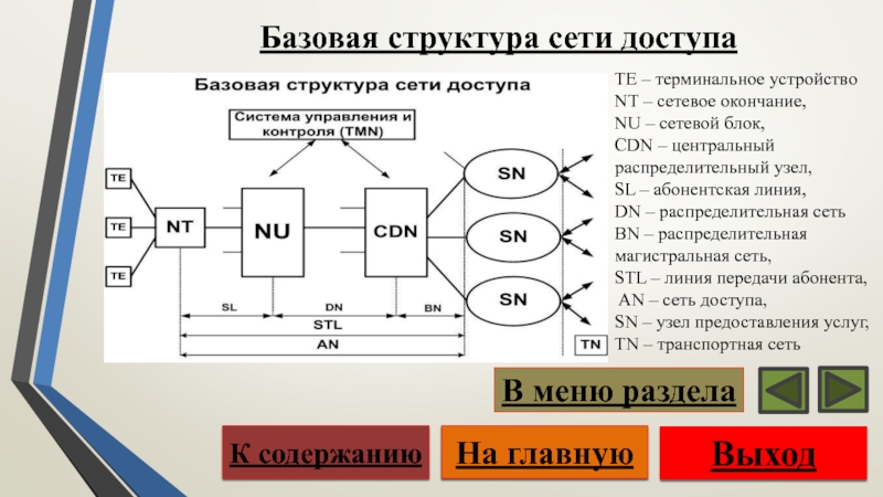 Модель сетей доступа. Структура сети. Структура сети доступа. Физическая структура сети. Логическая структуризация сети.