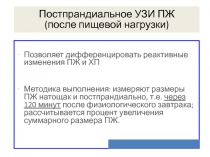 Постпрандиальное УЗИ ПЖ 