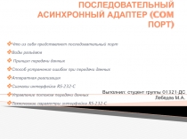 Последовательный асинхронный адаптер (COM порт) 
