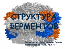 структура ферментов