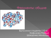 Ферменты