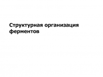 Структурная организация ферментов