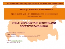 Управление тепловыми электростанциями