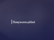 павукоподібні