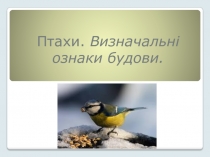 ПТАХИ. Ознаки будови