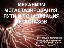 МЕХАНИЗМ ВОЗНИКНОВЕНИЯ МЕТАСТАЗ