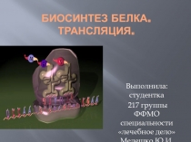 Биосинтез белка. Трансляция