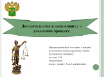 Доказательства в уголовном процессе 