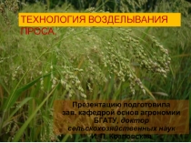 Просо