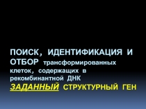 Поиск, Идентификация и отбор трансформированных клеток, содержащих в рекомбинантной ДНК заданный структурный ген