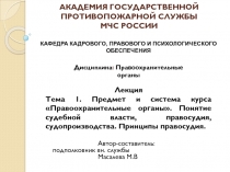 Правоохранительные органы